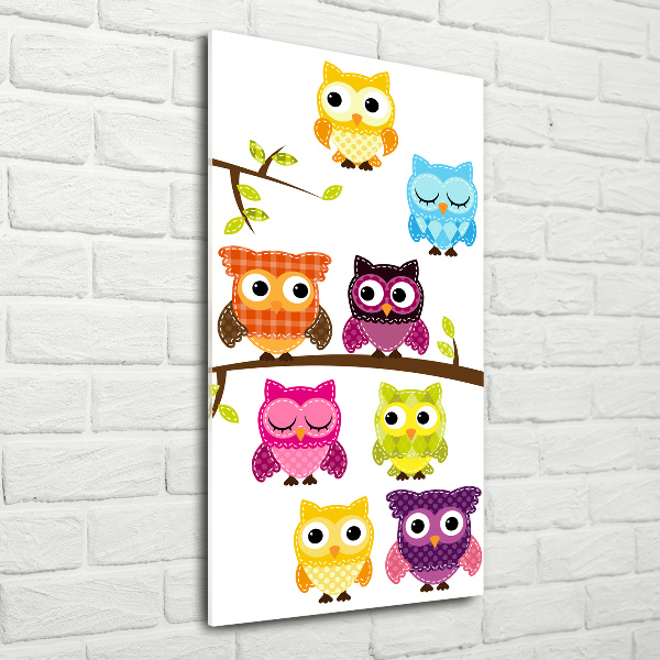 Acrylic wall art Colorful owls