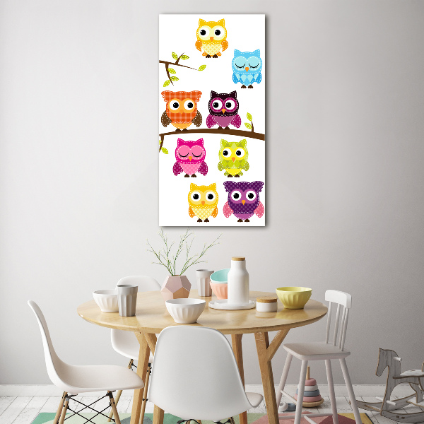 Acrylic wall art Colorful owls