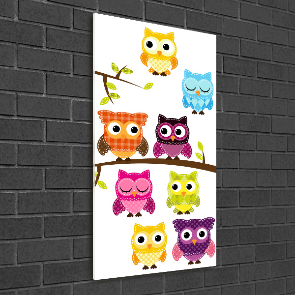 Acrylic wall art Colorful owls