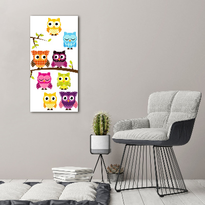 Acrylic wall art Colorful owls