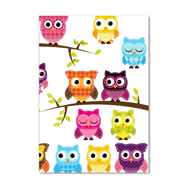 Acrylic wall art Colorful owls