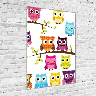 Acrylic wall art Colorful owls