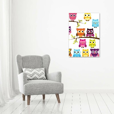 Acrylic wall art Colorful owls