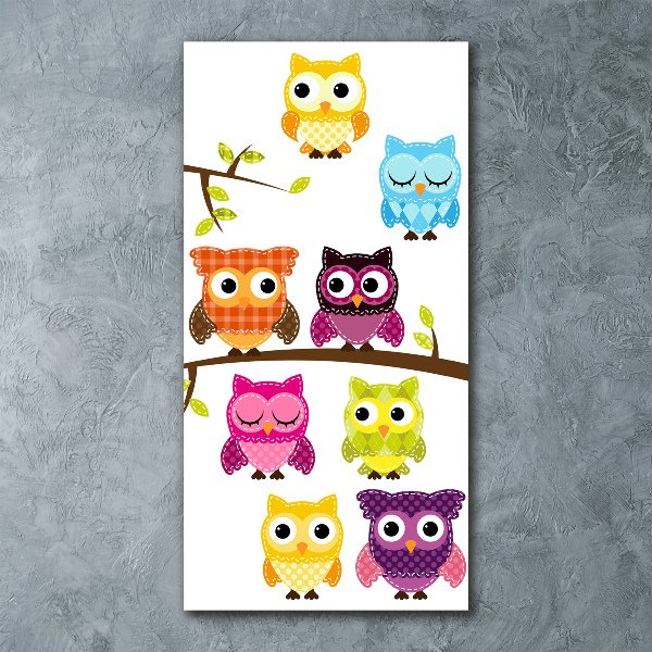 Acrylic wall art Colorful owls