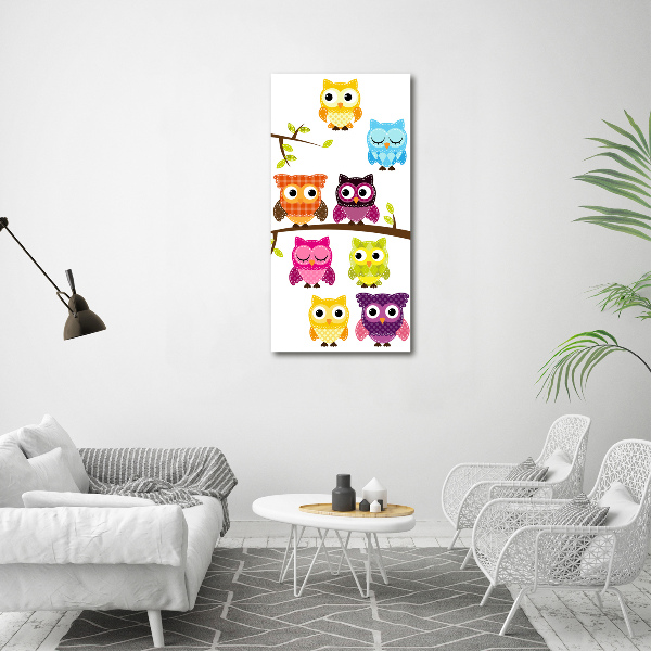 Acrylic wall art Colorful owls