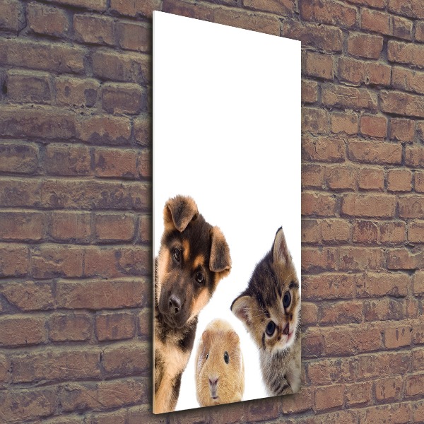 Acrylic print Pets