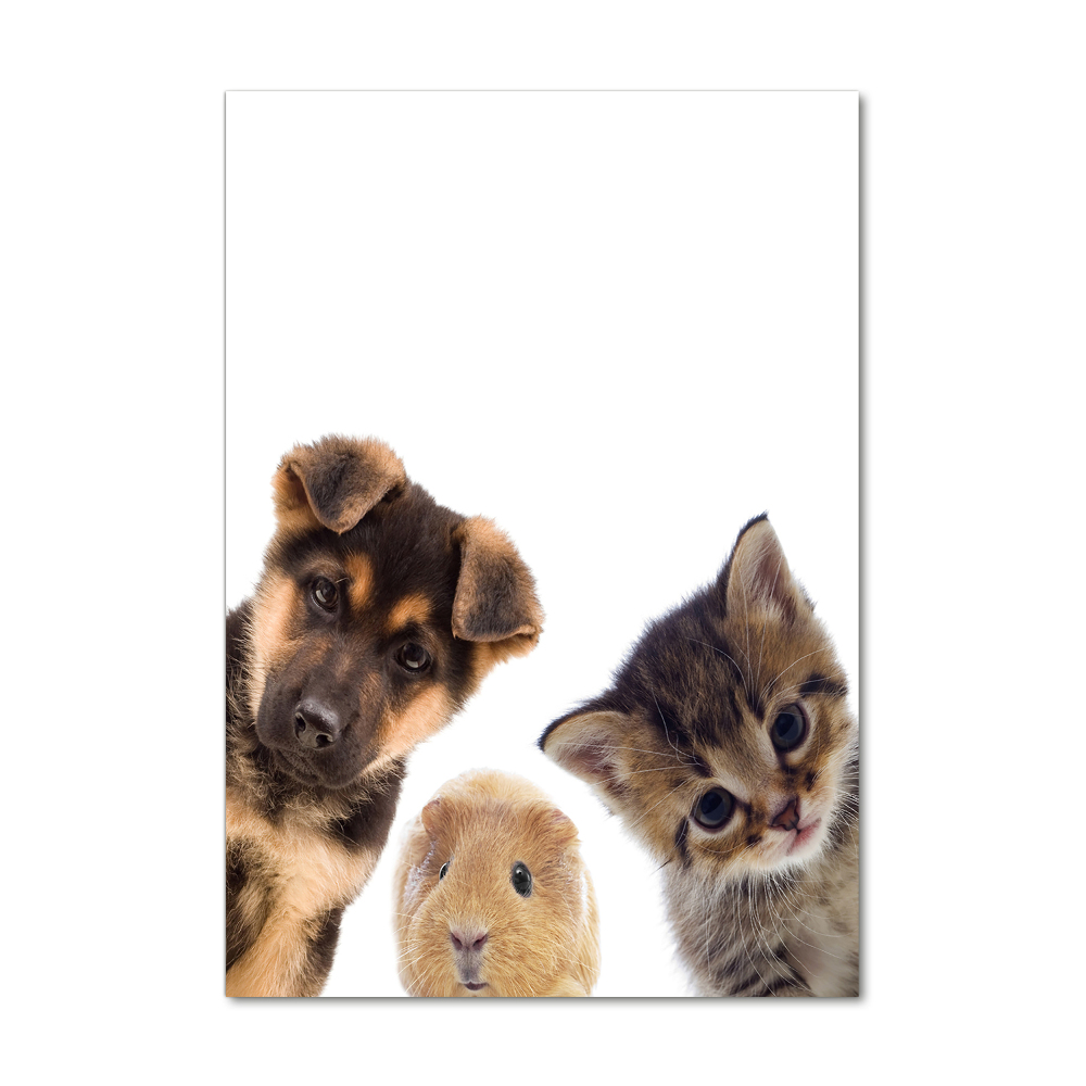 Acrylic print Pets