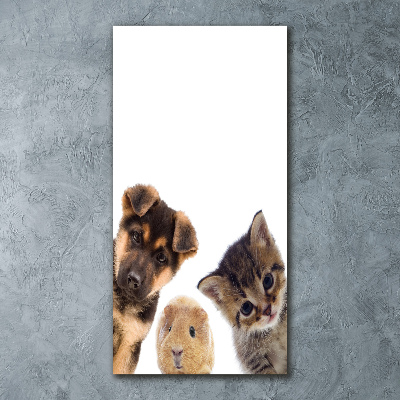 Acrylic print Pets