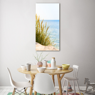 Print on acrylic Coastal dunes