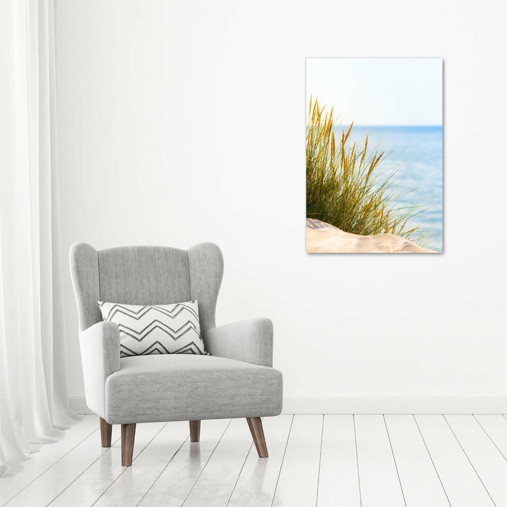 Print on acrylic Coastal dunes