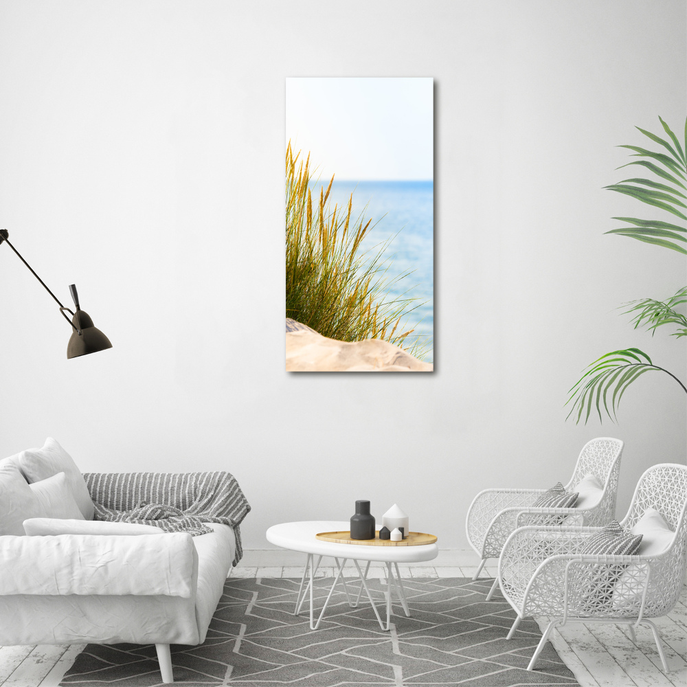 Print on acrylic Coastal dunes