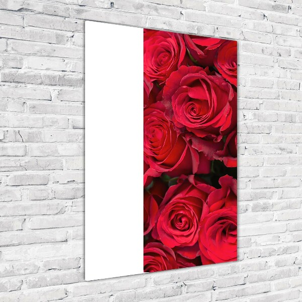 Print on acrylic Red roses