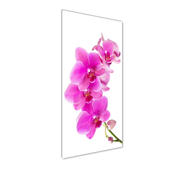 Wall art acrylic Pink orchid