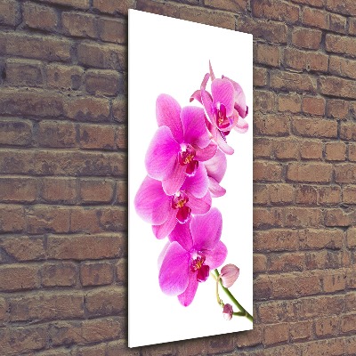 Wall art acrylic Pink orchid