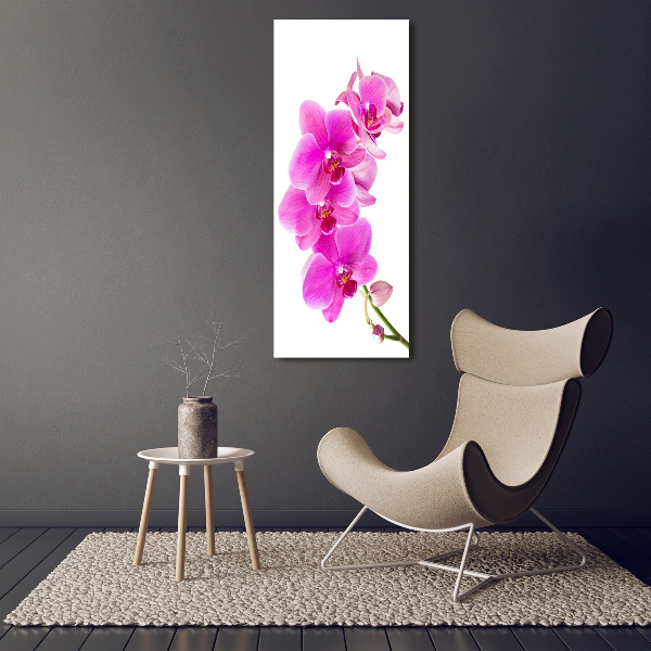 Wall art acrylic Pink orchid