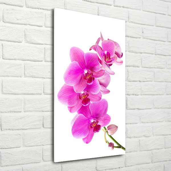 Wall art acrylic Pink orchid