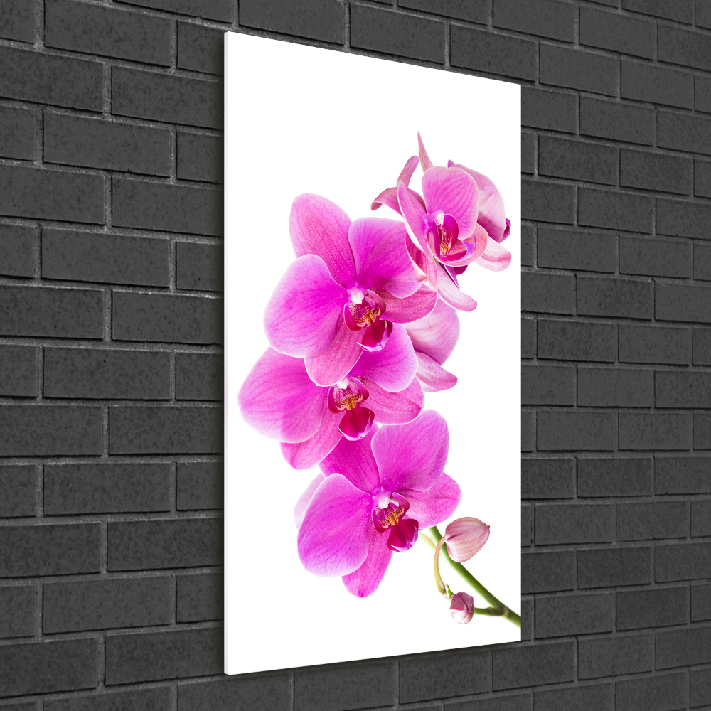 Wall art acrylic Pink orchid