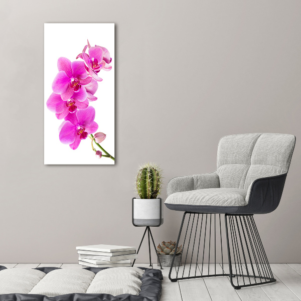 Wall art acrylic Pink orchid