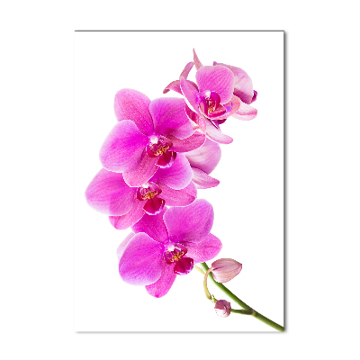 Wall art acrylic Pink orchid