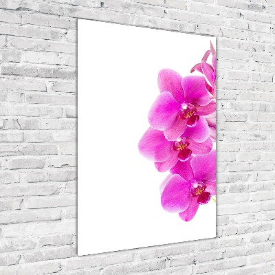 Wall art acrylic Pink orchid