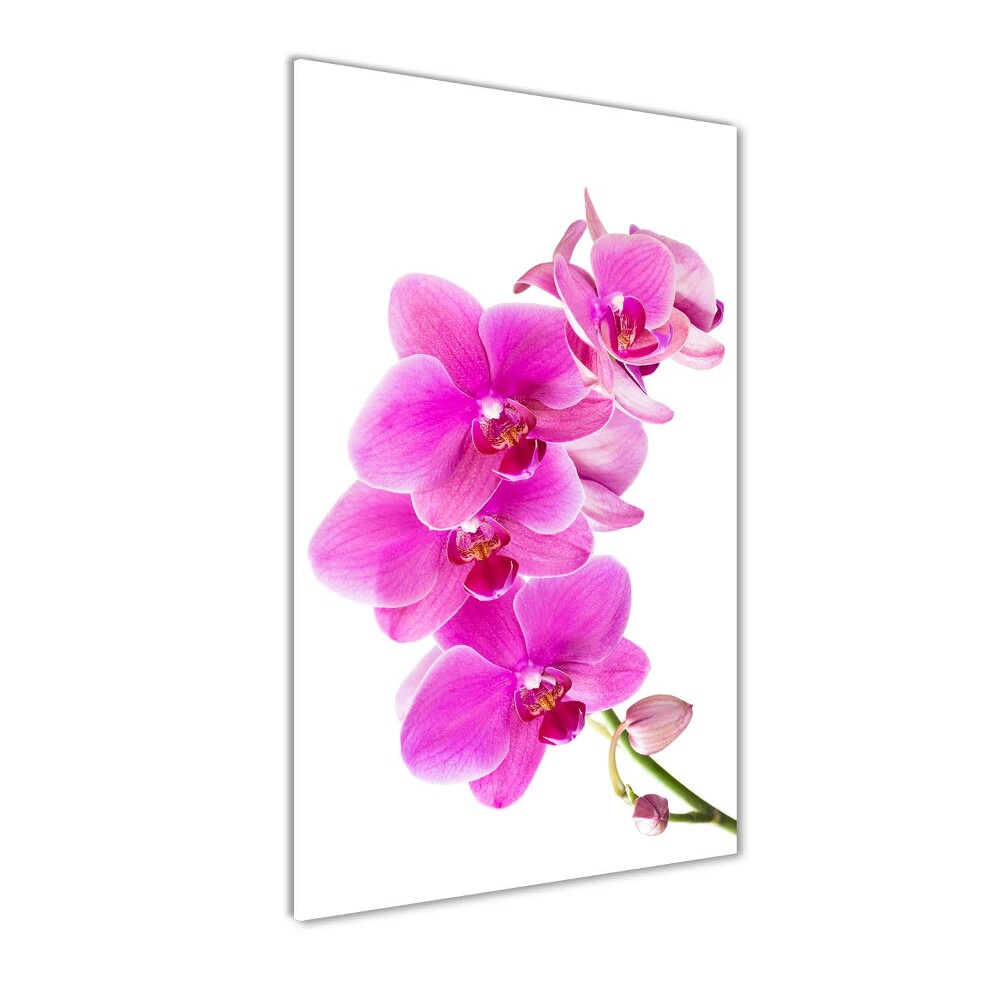 Wall art acrylic Pink orchid