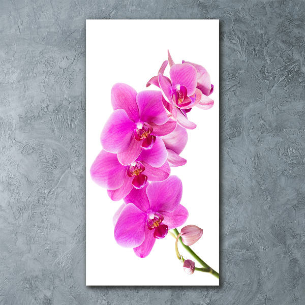 Wall art acrylic Pink orchid