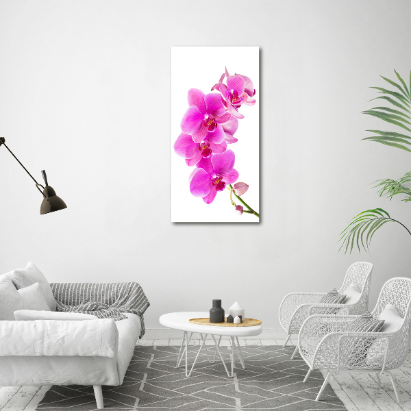 Wall art acrylic Pink orchid