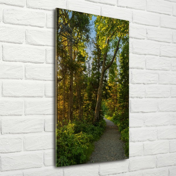 Print on acrylic Path in the forest