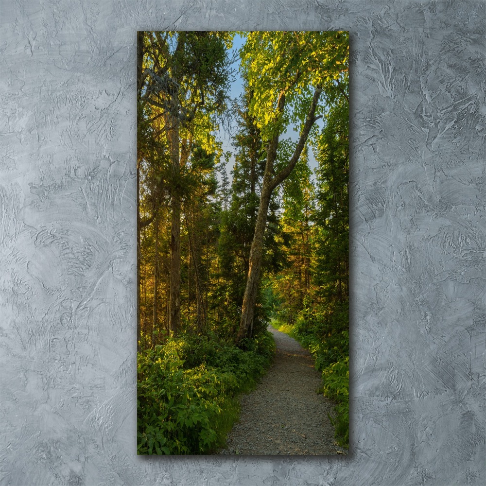 Print on acrylic Path in the forest