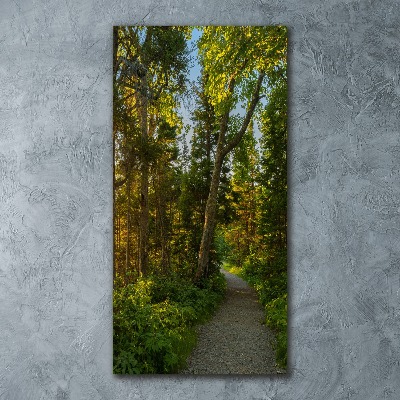 Print on acrylic Path in the forest