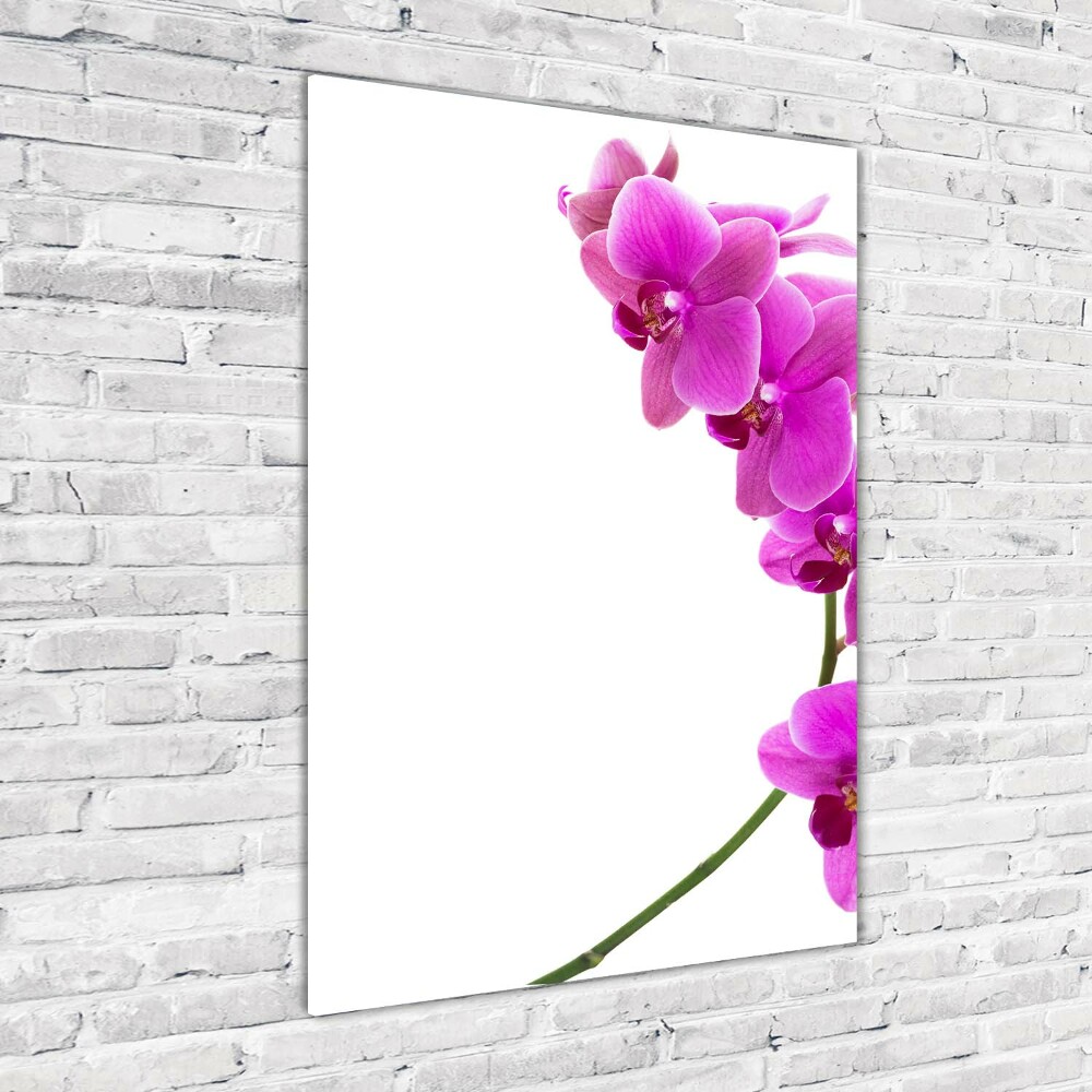 Acrylic wall art Pink orchid