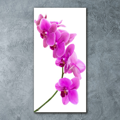 Acrylic wall art Pink orchid