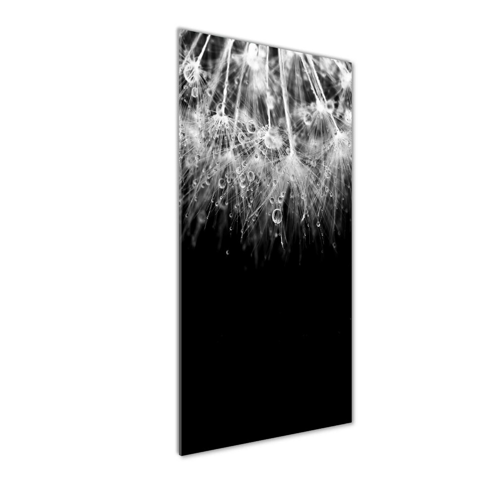 Acrylic wall art Dandelion seeds