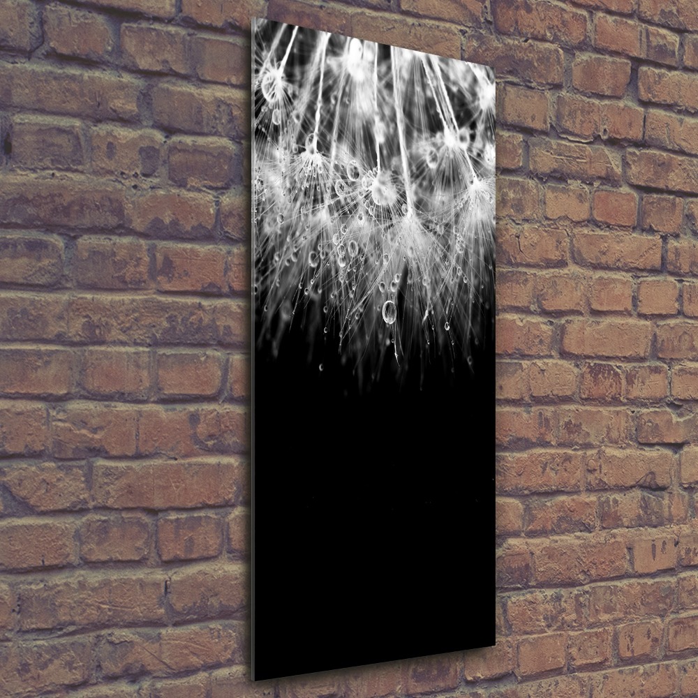 Acrylic wall art Dandelion seeds