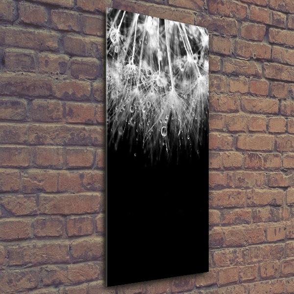 Acrylic wall art Dandelion seeds