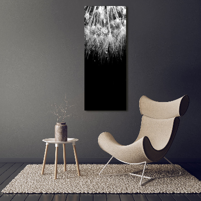 Acrylic wall art Dandelion seeds