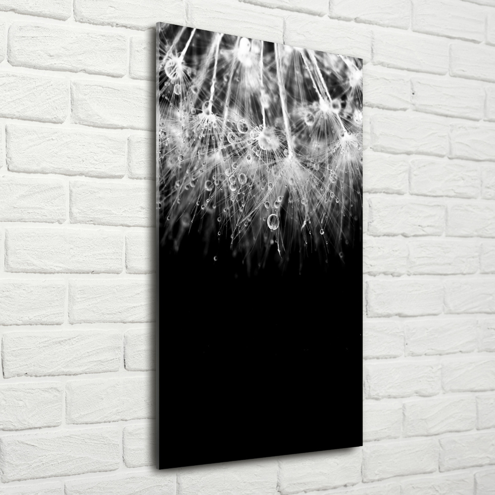 Acrylic wall art Dandelion seeds