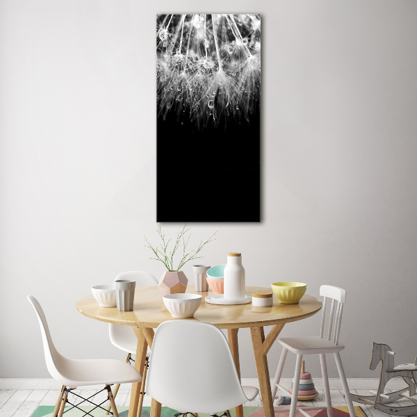 Acrylic wall art Dandelion seeds