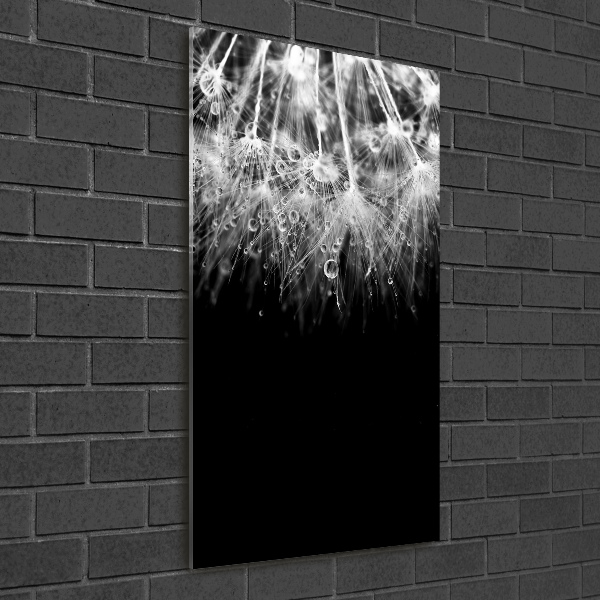 Acrylic wall art Dandelion seeds