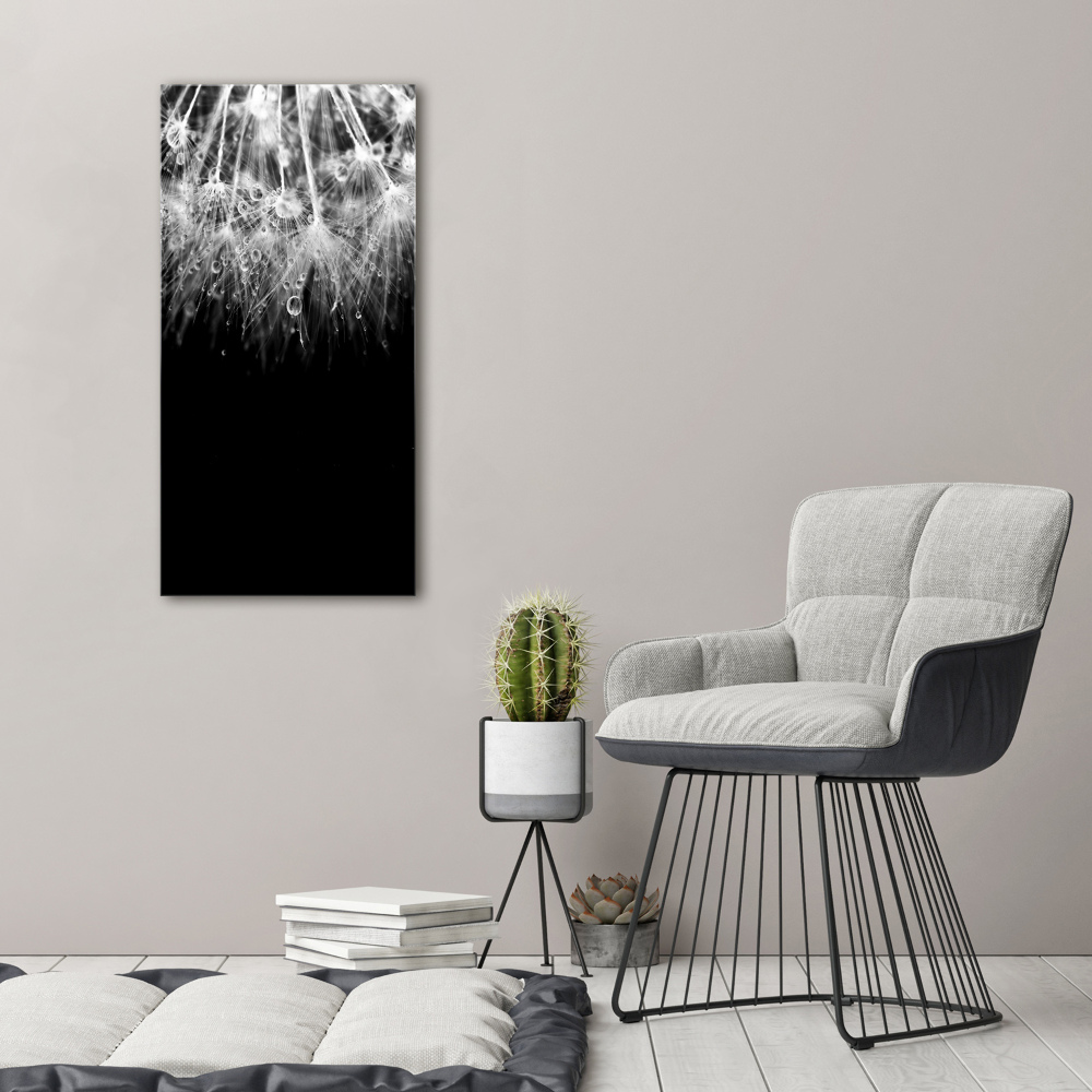 Acrylic wall art Dandelion seeds