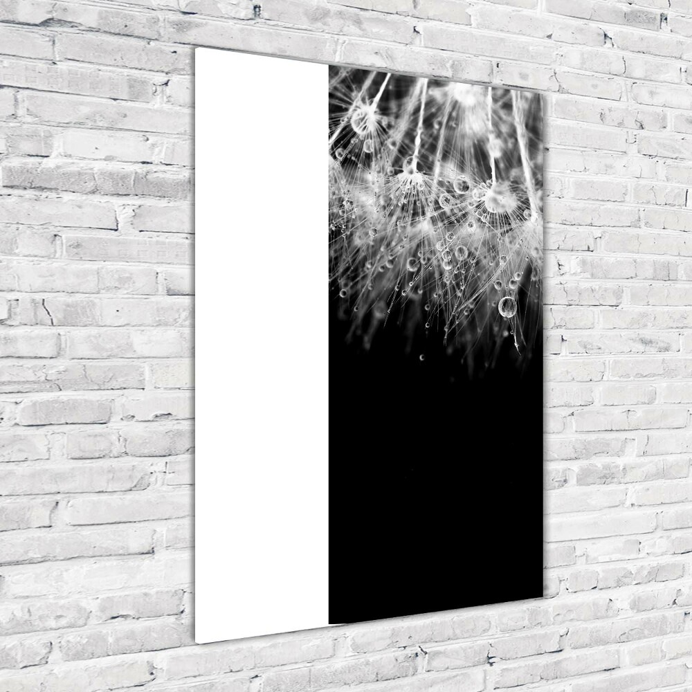 Acrylic wall art Dandelion seeds