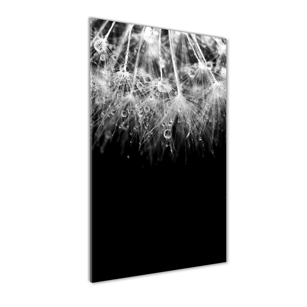 Acrylic wall art Dandelion seeds