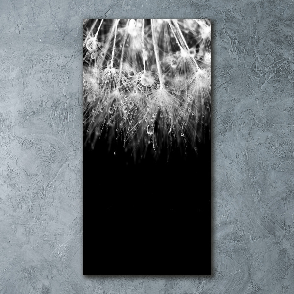 Acrylic wall art Dandelion seeds