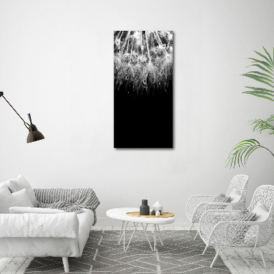 Acrylic wall art Dandelion seeds