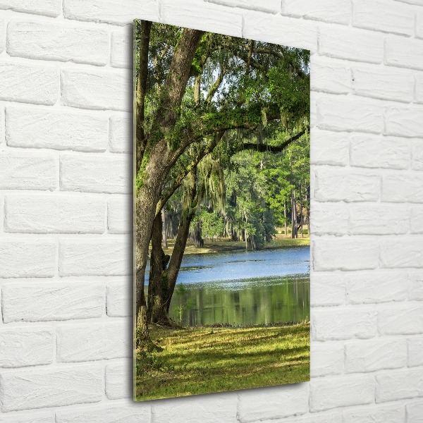 Wall art acrylic Lake in the park