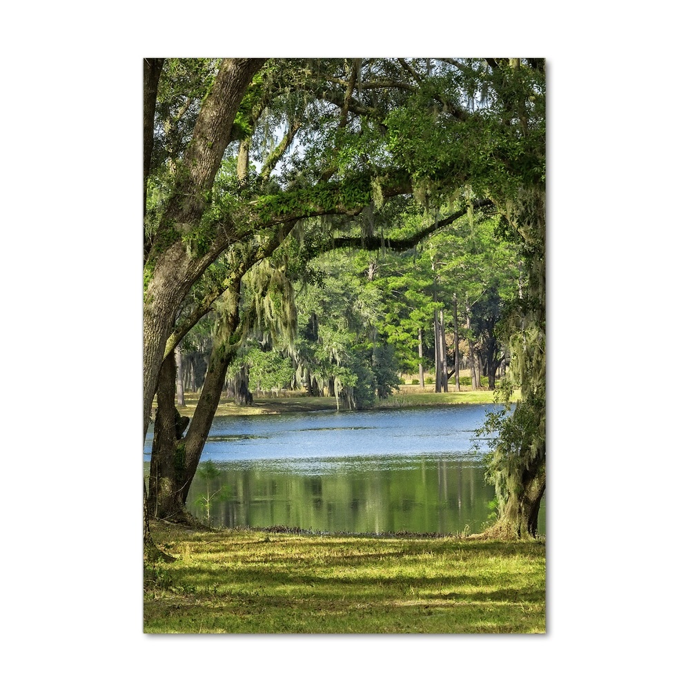 Wall art acrylic Lake in the park