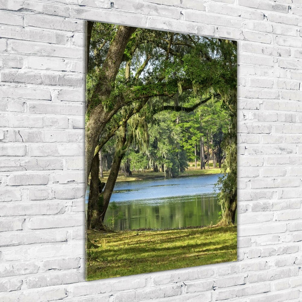 Wall art acrylic Lake in the park