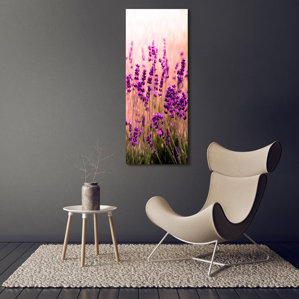 Print on acrylic Lavender field