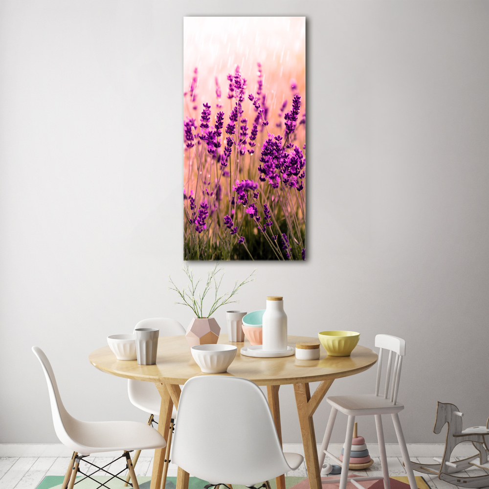 Print on acrylic Lavender field