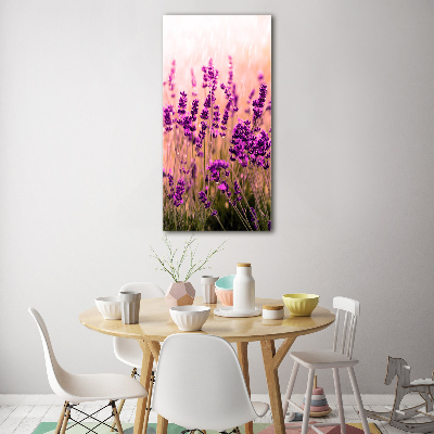 Print on acrylic Lavender field